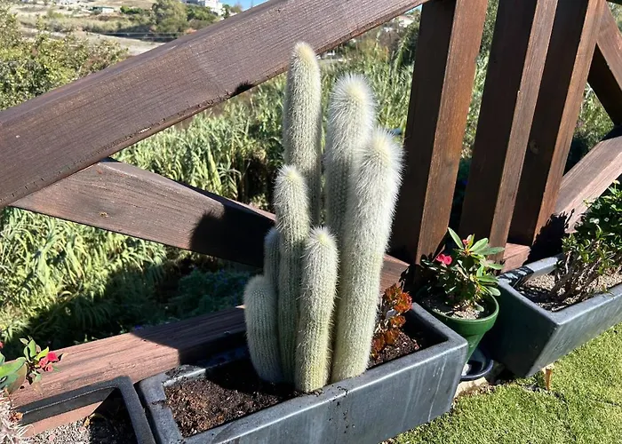 Guadalmina House Nyaraló *